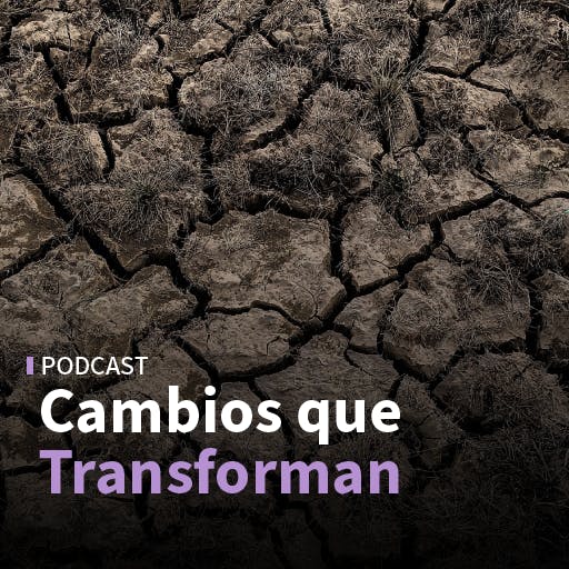 Cómo enfrentar la sequía y de qué manera preparar los materiales frente al cambio climático