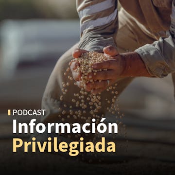 Miércoles de commodities y monedas