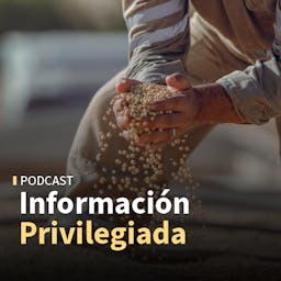 Miércoles de commodities y monedas