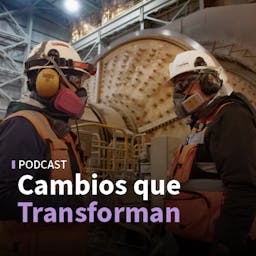 Empleo en la minería y gestión de crisis en empresas