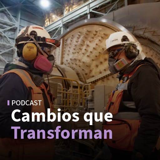 Empleo en la minería y gestión de crisis en empresas