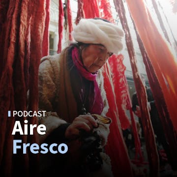 La inmensa diversidad de flora en el norte de Chile y la obra de Cecilia Vicuña