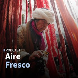 La inmensa diversidad de flora en el norte de Chile y la obra de Cecilia Vicuña