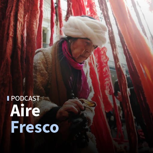 La inmensa diversidad de flora en el norte de Chile y la obra de Cecilia Vicuña