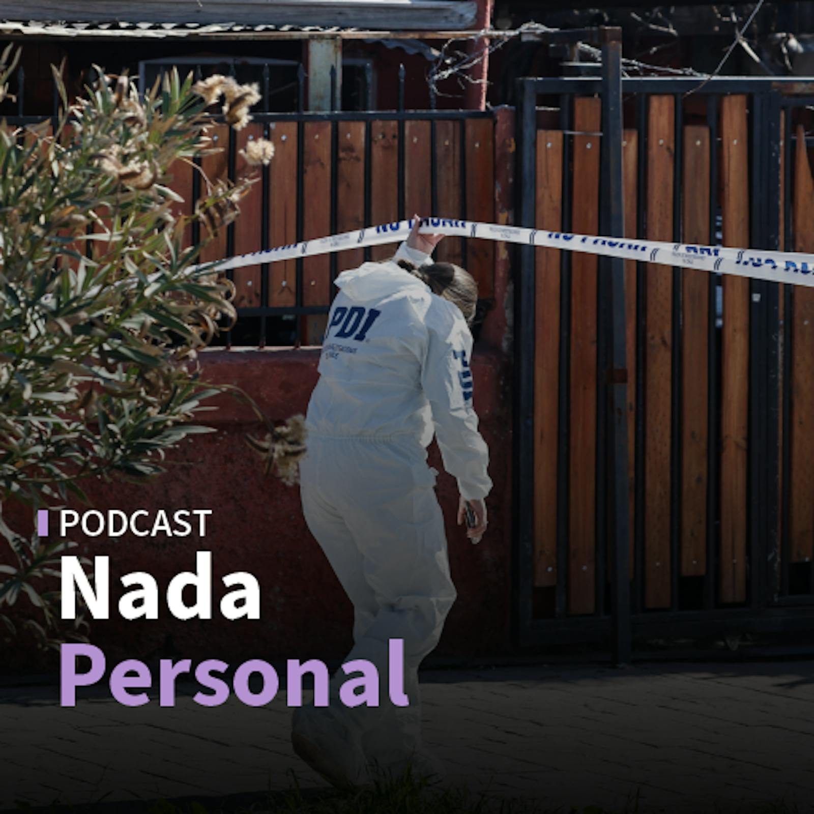 Homicidios a la baja y elecciones de medio término en Estados Unidos