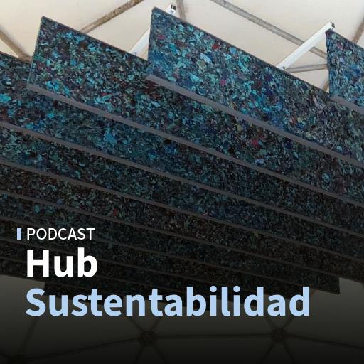 De la ropa en desuso a paneles acústicos: el emprendimiento chileno que busca darle una segunda vida a los textiles