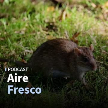 Salvador Amenábar y las reflexiones que dejó el crucero infectado con hantavirus cepa Andes