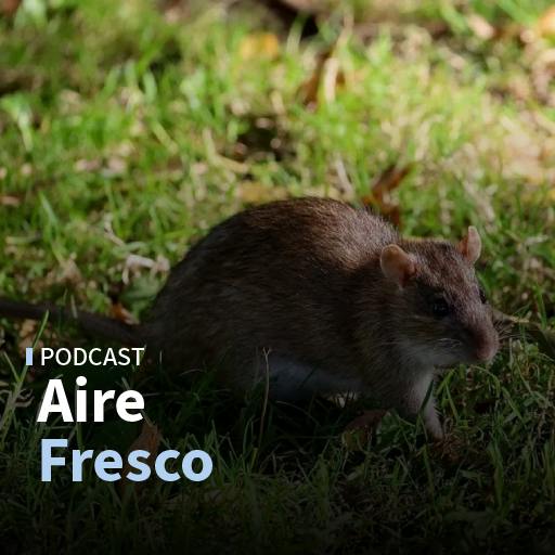 Salvador Amenábar y las reflexiones que dejó el crucero infectado con hantavirus cepa Andes