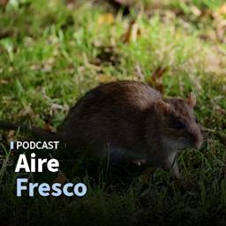 Salvador Amenábar y las reflexiones que dejó el crucero infectado con hantavirus cepa Andes