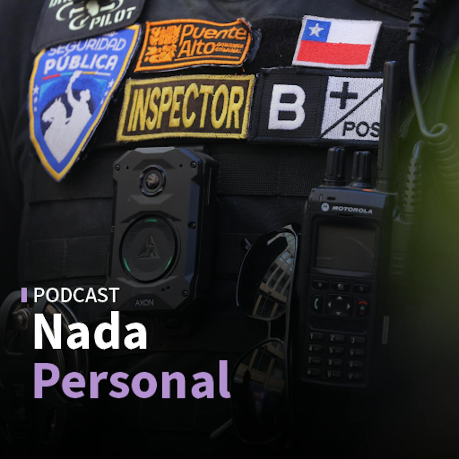Reglamento Ley de Seguridad Municipal y propuesta Longton-Squella por la reforma de seguridad