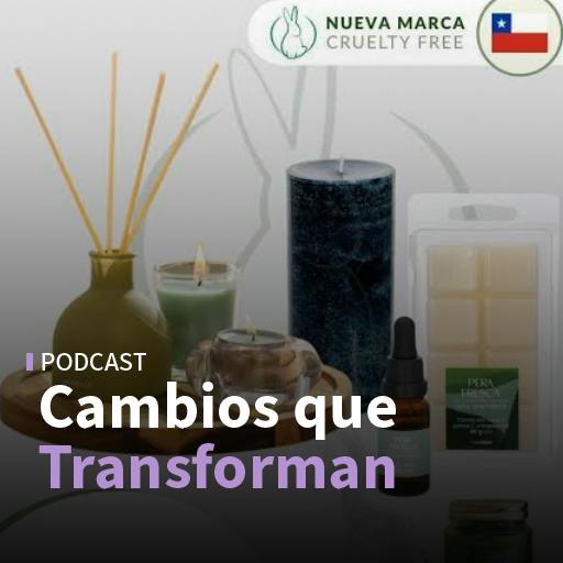 Te Protejo, la certificación libre de testeo animal de Casaideas y ciberseguridad