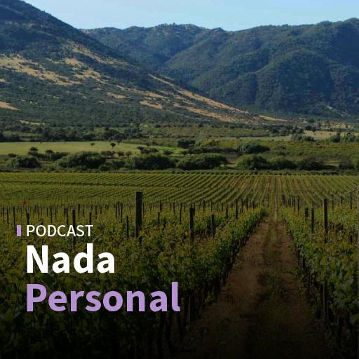 El estado del vino chileno y una mirada a la historia de Javiera Carrera