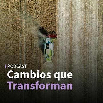 La estrategia de sostenibilidad de Viña Concha y Toro y cómo es la innovación digital en la minería y agricultura