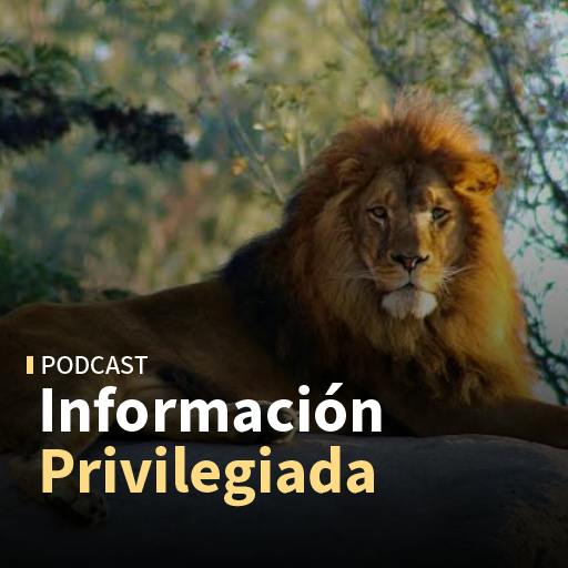 Tesla, Buin Zoo y mercados globales