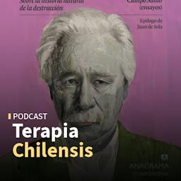 Los Ensayos de W.G. Sebald, y las películas: Caballo Salvaje Nueve de Martin McDonagh y La Quimera de Alice Rohrwacher