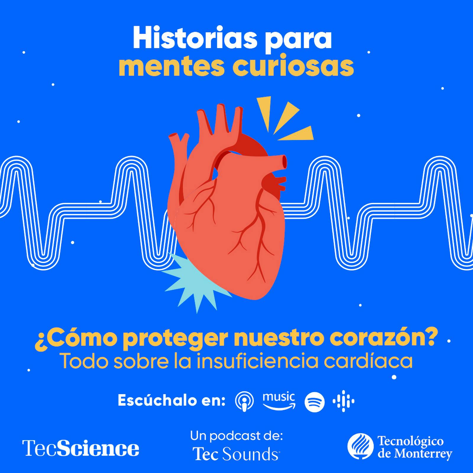 Historias Para Mentes Curiosas