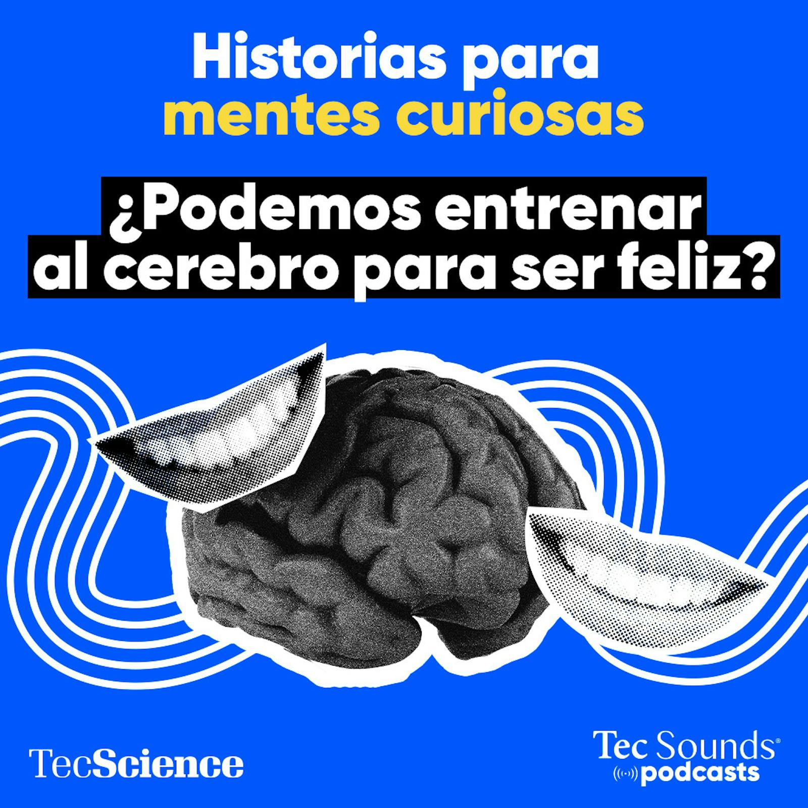 Historias Para Mentes Curiosas
