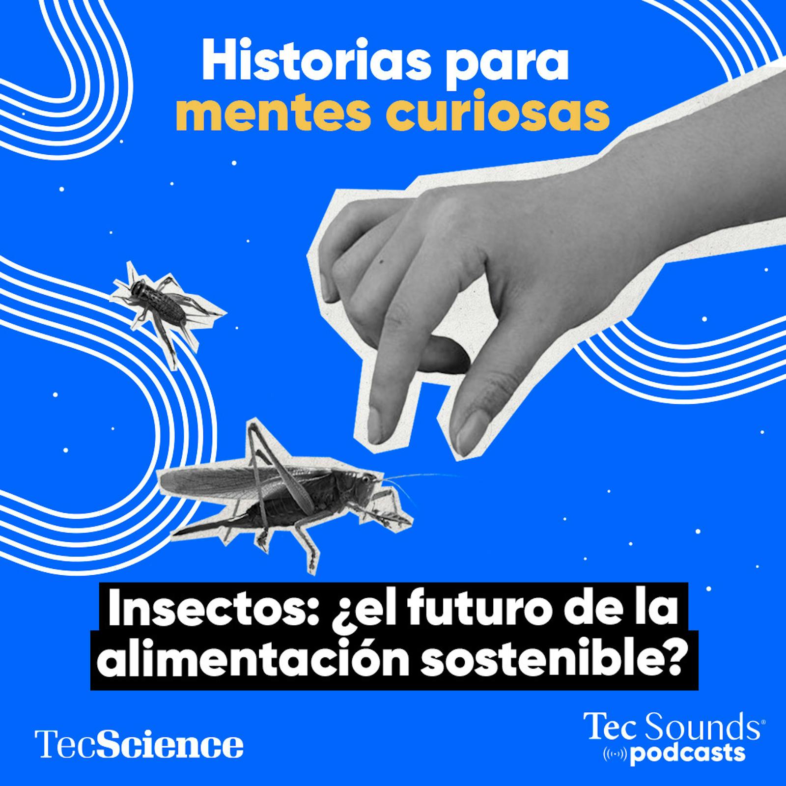 Ep. 107 - Insectos: ¿el futuro de la alimentación sostenible?