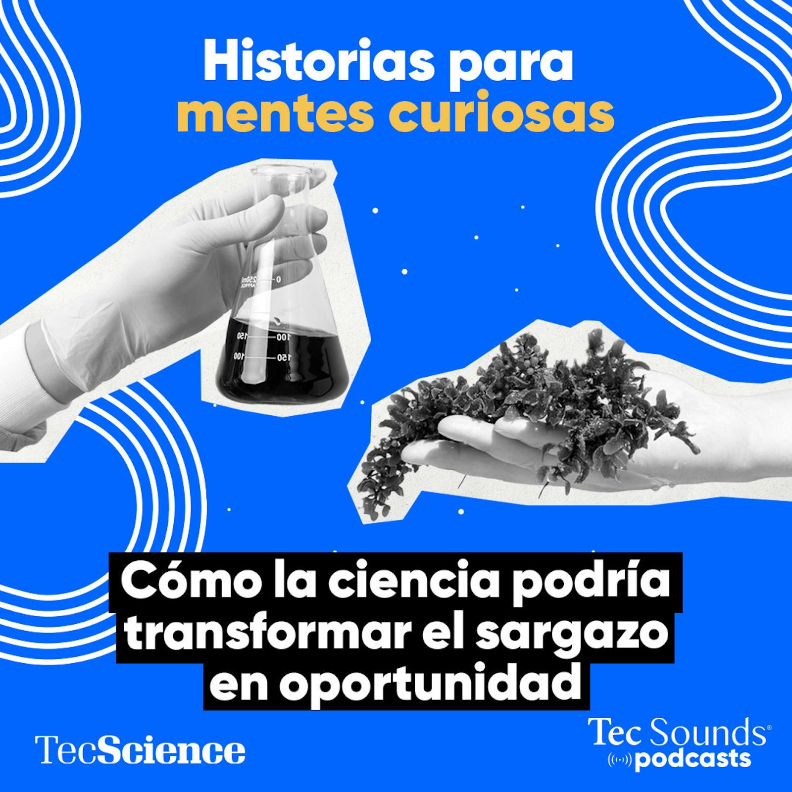 Ep. 125 - Cómo la ciencia podría transformar el sargazo en oportunidad