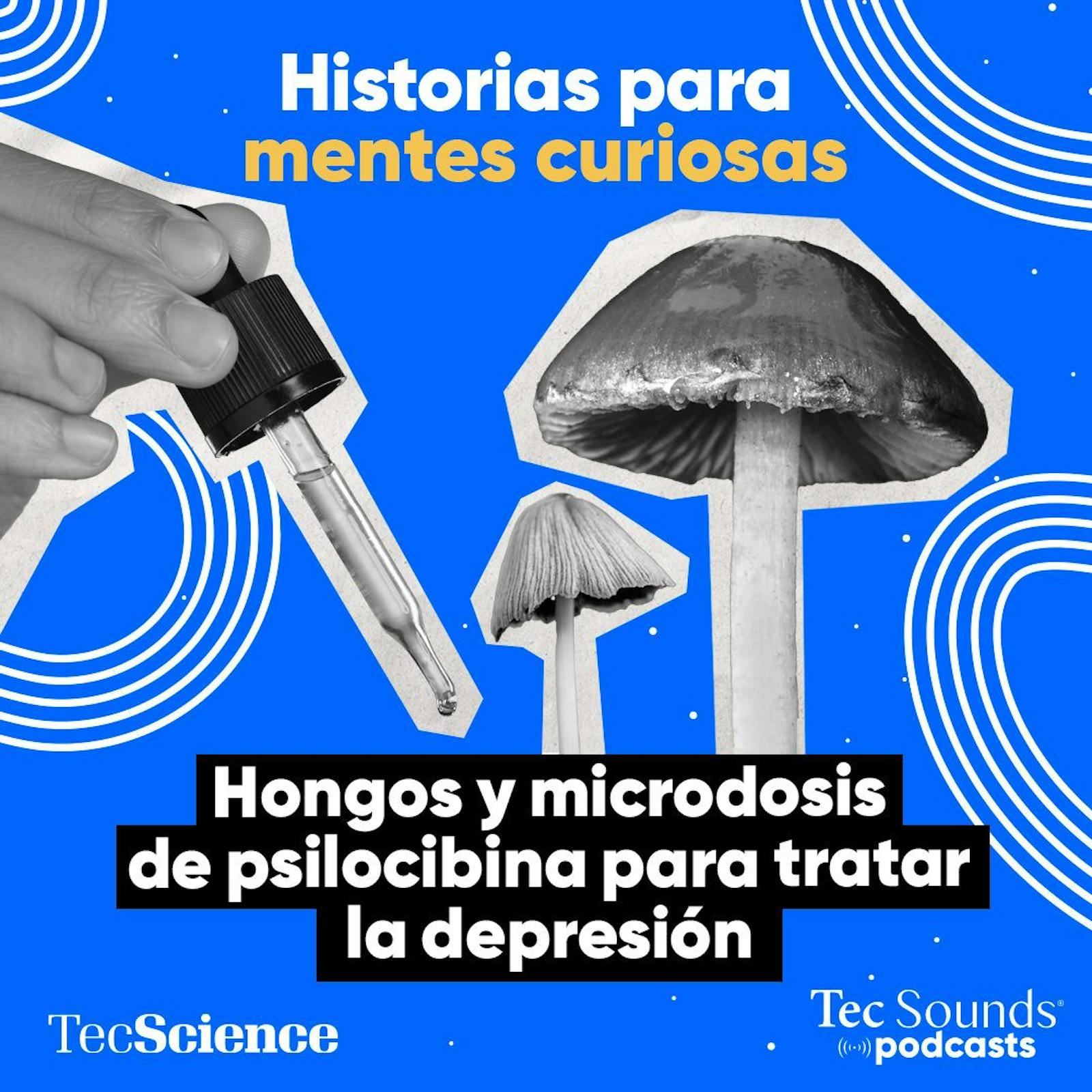Historias Para Mentes Curiosas