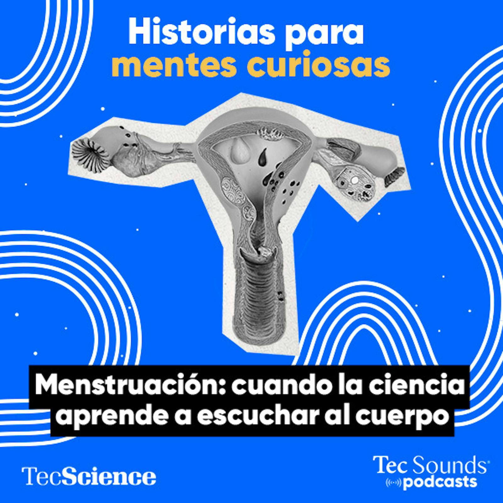 Ep. 139 - Menstruación: lo que el cuerpo dice y la ciencia empieza a entender Ep. 139 - Menstruación: lo que el cuerpo dice y la ciencia empieza a entender