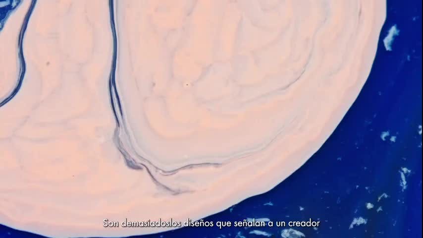 Aquí estoy
