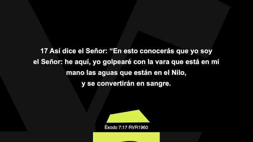 T2E6 Escrito está - Éxodo 8 y 10, Rafa Valladares