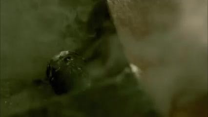 Episodio 43