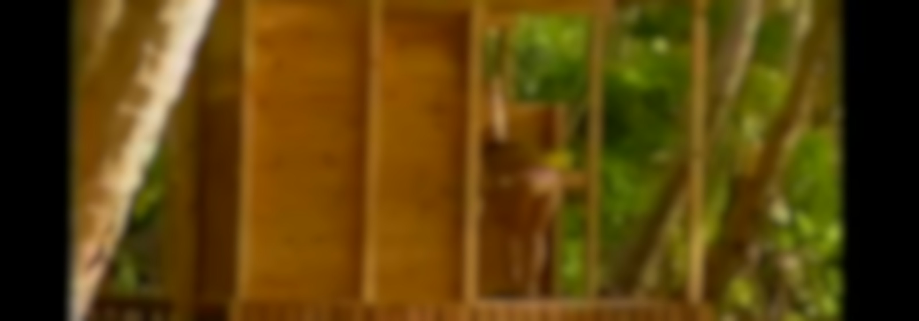 Episodio 35