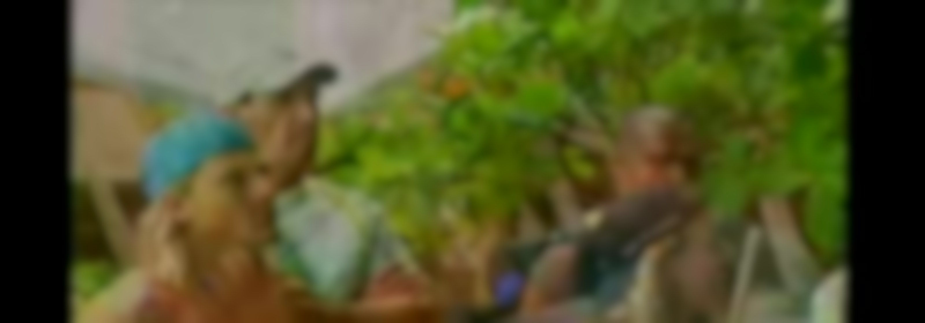 Episodio 29