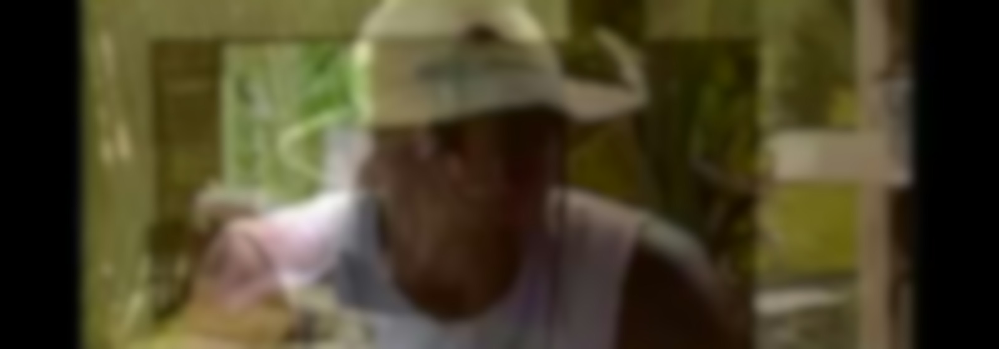 Episodio 31