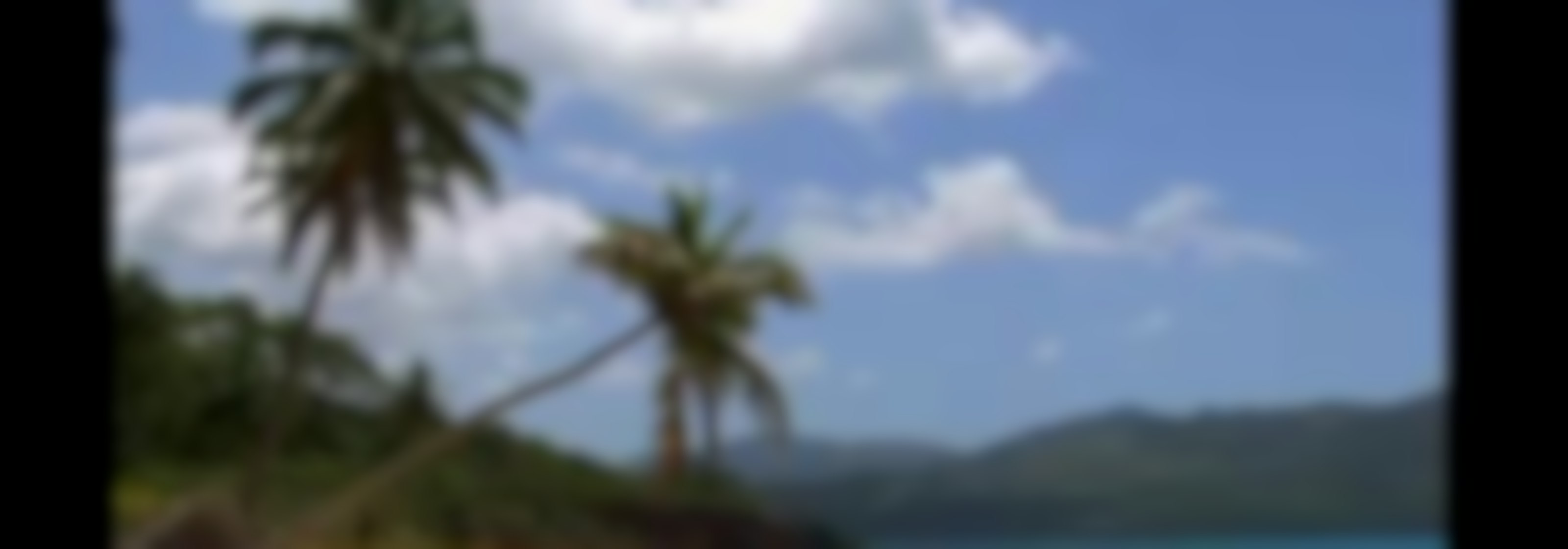 Episodio 33