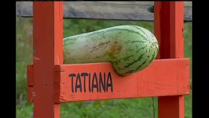 Episodio 43
