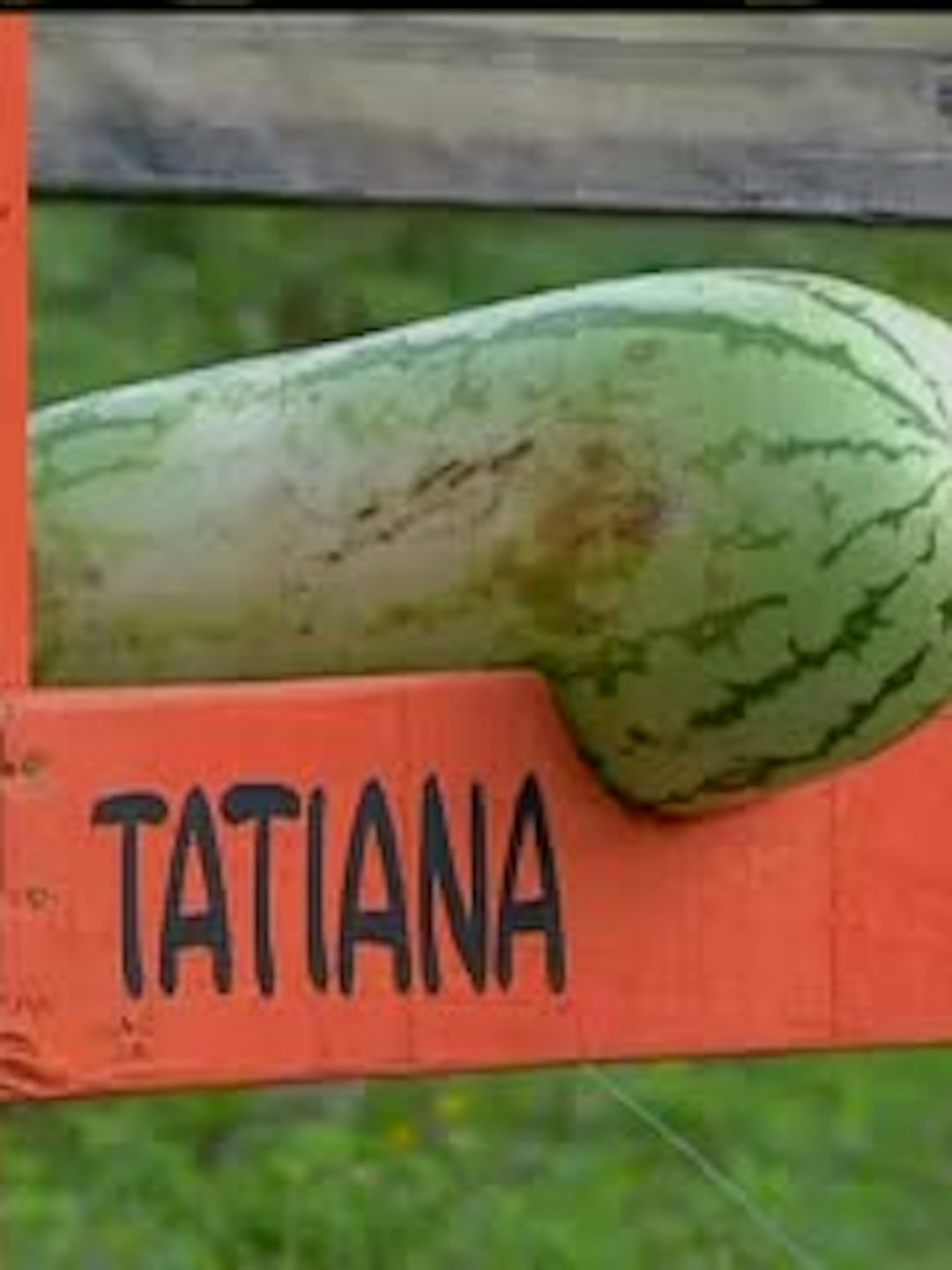 Episodio 43