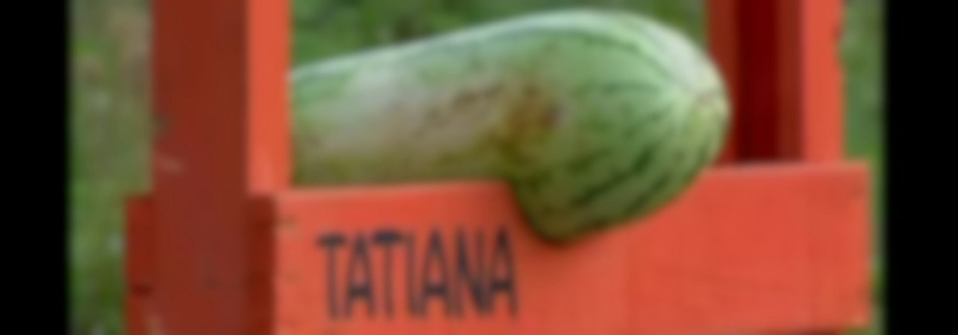 Episodio 43