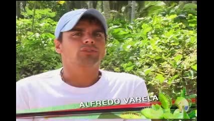 Episodio 67
