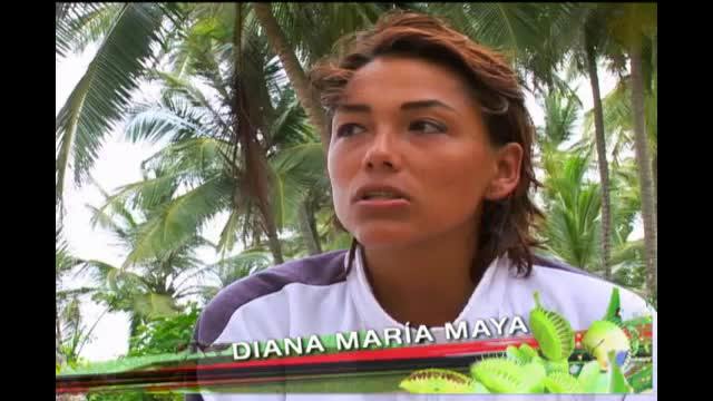 Episodio 77