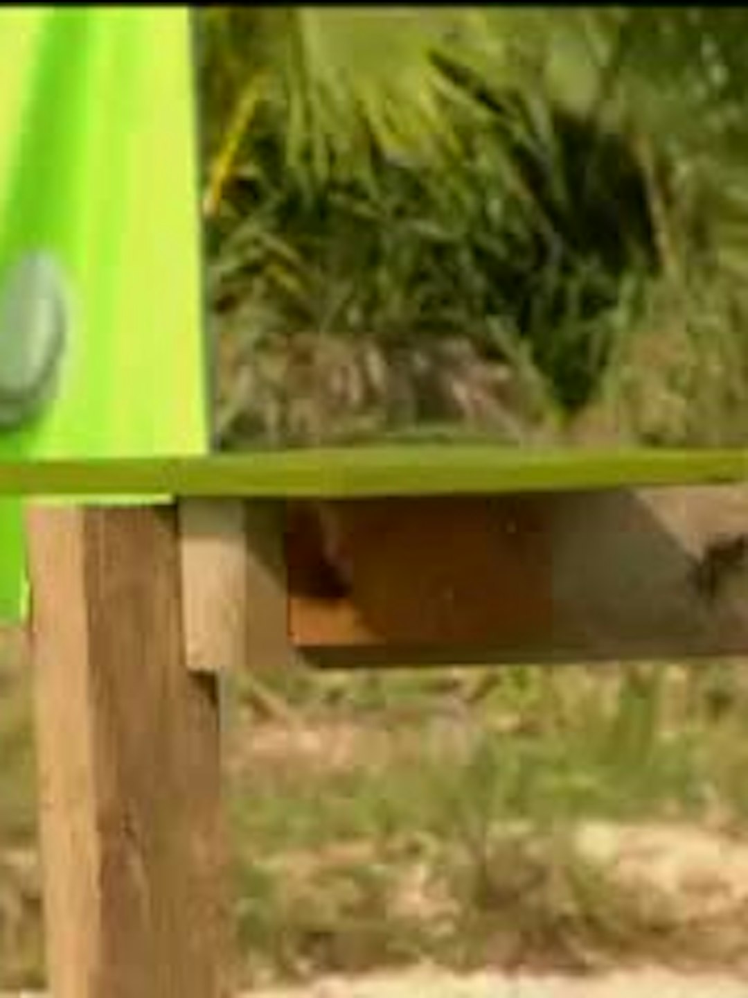 Episodio 3
