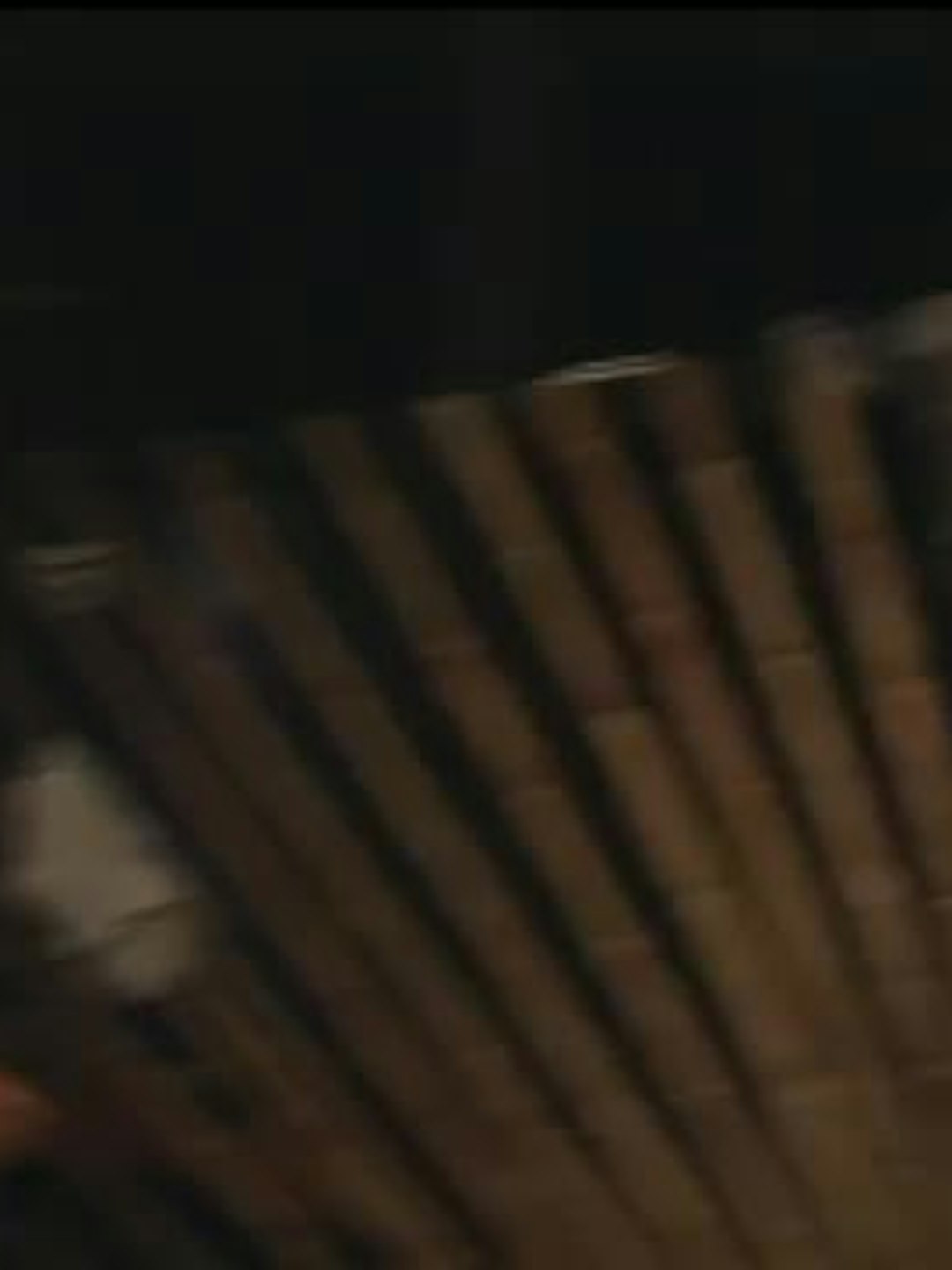 Episodio 65