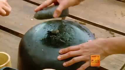 Episodio 3