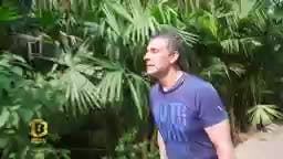 Episodio 117