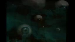 Episodio 47