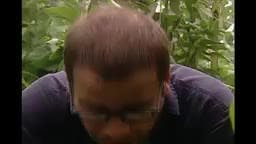 Episodio 237