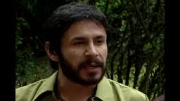 Episodio 85
