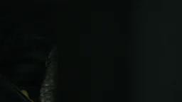Episodio 22