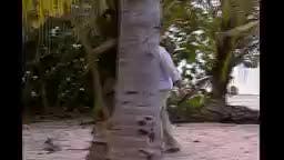 Episodio 77
