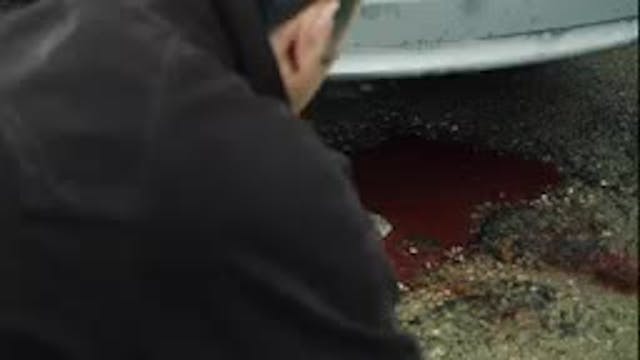 Episodio 5