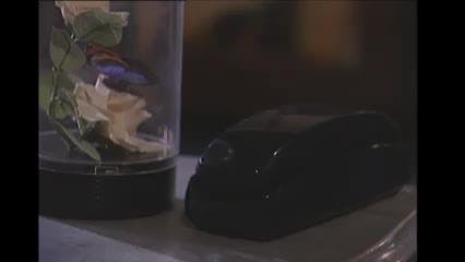 Episodio 54