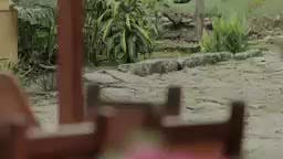 Episodio 41