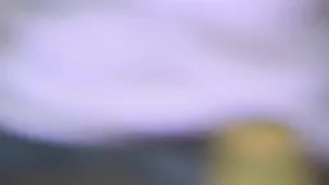 Episodio 11